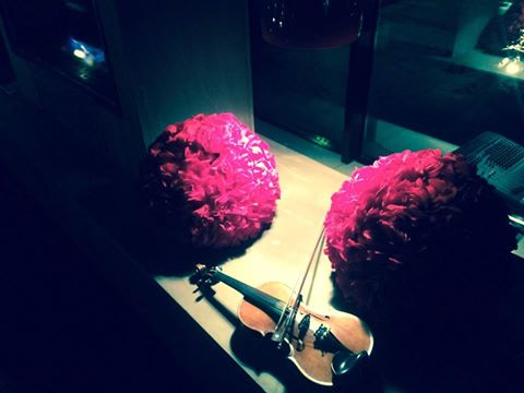 Walentynki z GFM – romantyczne skrzypce