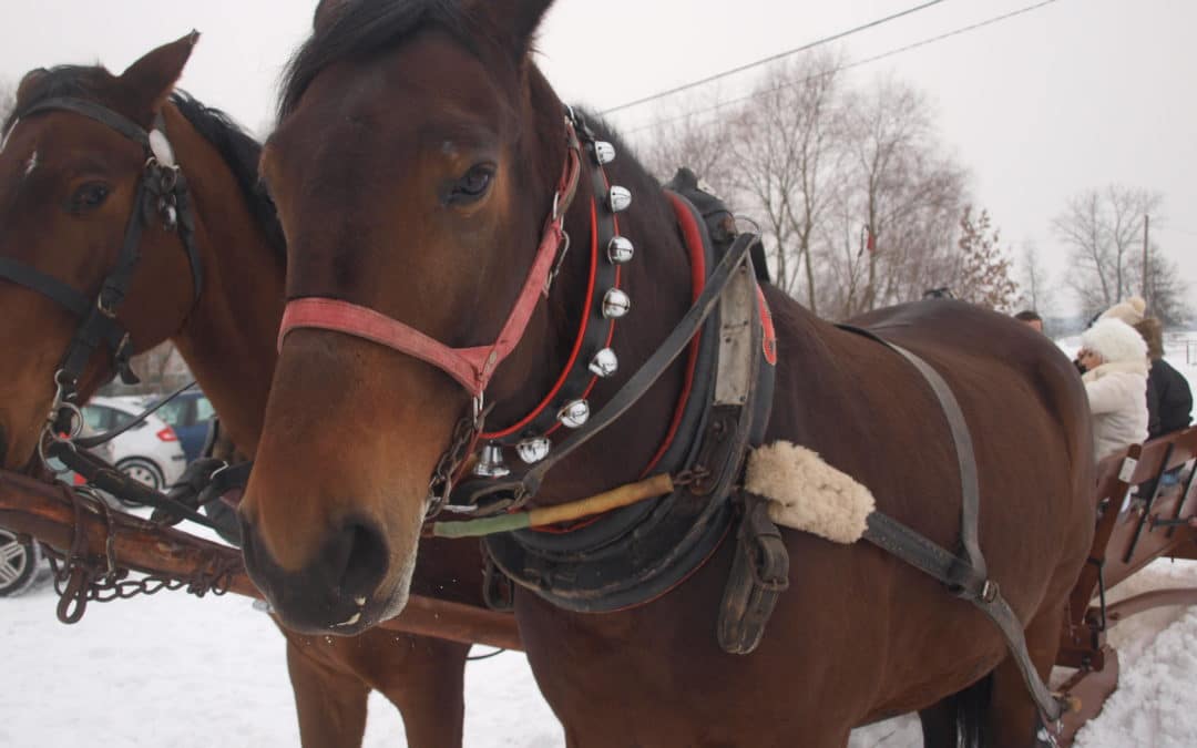 Zima, zima, zima, pada, pada śnieg…